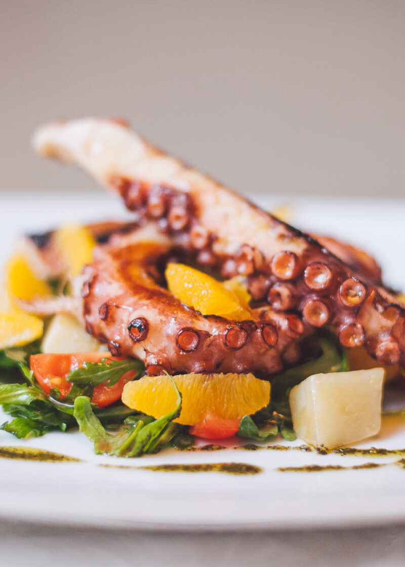 Opera-1-small (38 of 102)